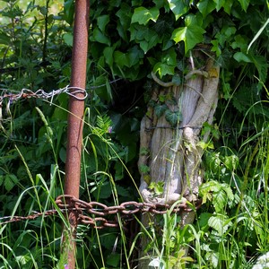 Barre de fer retenant des fils de fer barbelés et accroché par une chaîne à un arbuste recouvert de lierre - Belgique  - collection de photos clin d'oeil, catégorie clindoeil